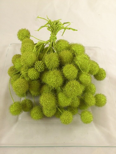 Plane ball 250 gr. applegreen